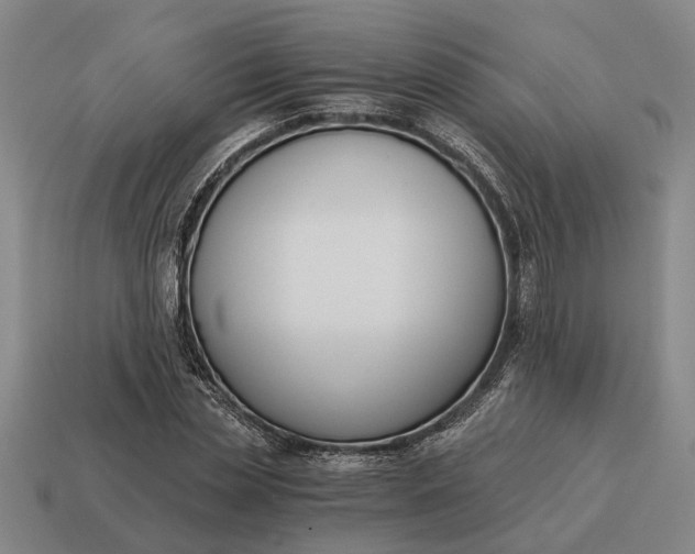 X0000115080829200911101501