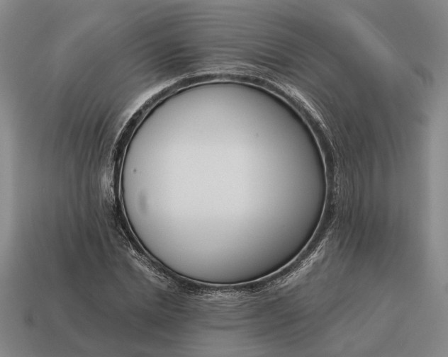 X0000115080830200911101501