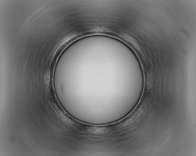 X0000115080831200911101501
