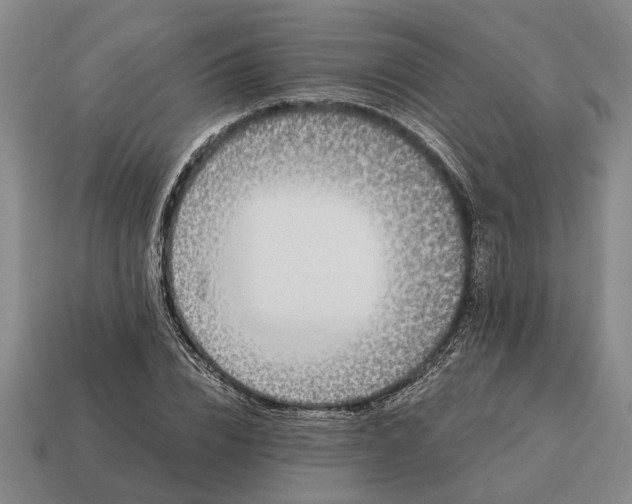 X0000115080832200911101501