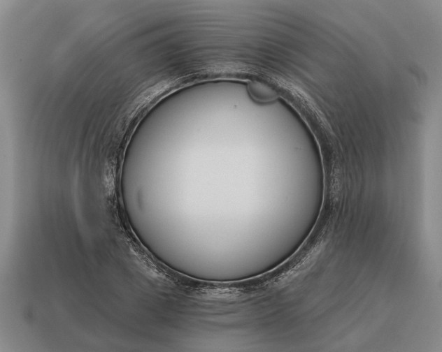 X0000115080833200911101501