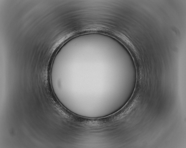 X0000115080834200911101501