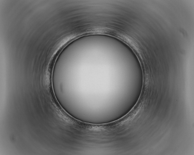 X0000115080835200911101501