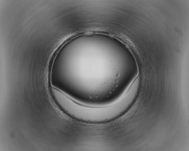 X0000115080836200911101501