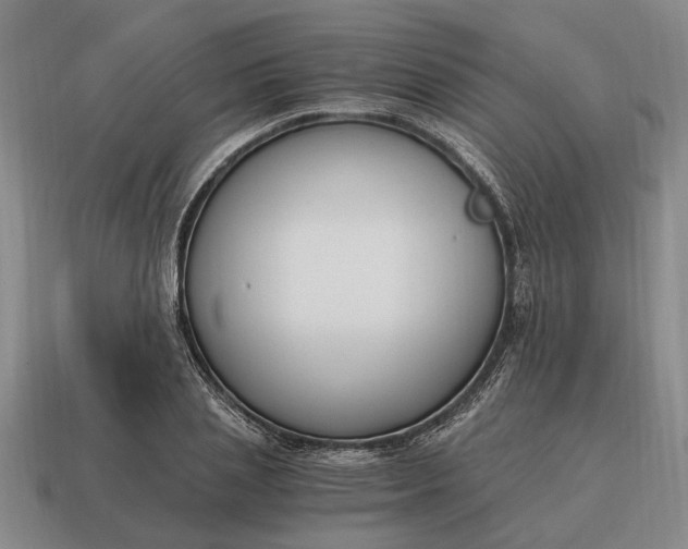 X0000115080837200911101501