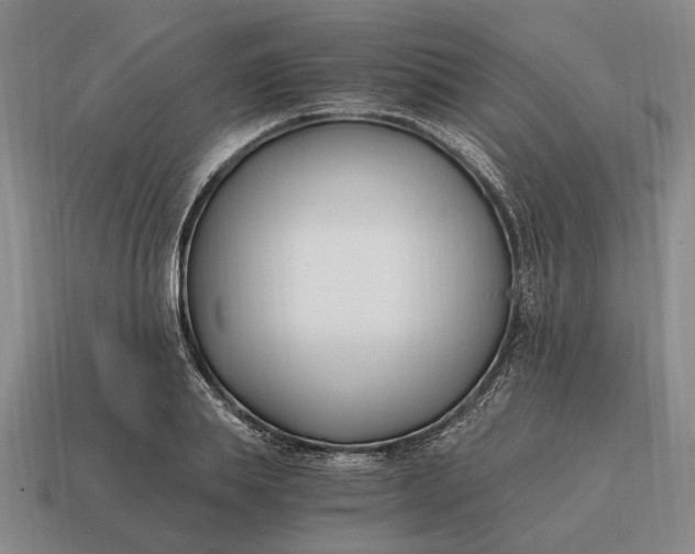 X0000115080839200911101501