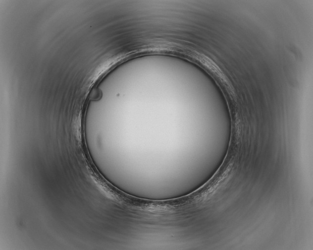 X0000115080842200911101501