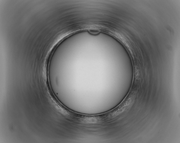 X0000115080843200911101501