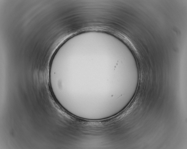 X0000115080844200911101501