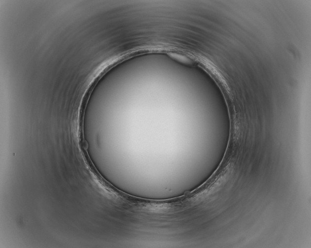 X0000115080845200911101501