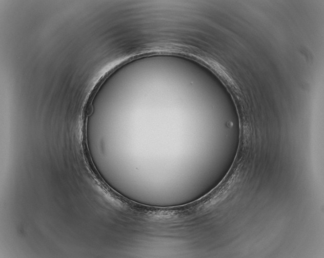X0000115080846200911101501
