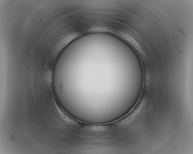 X0000115080849200911101501