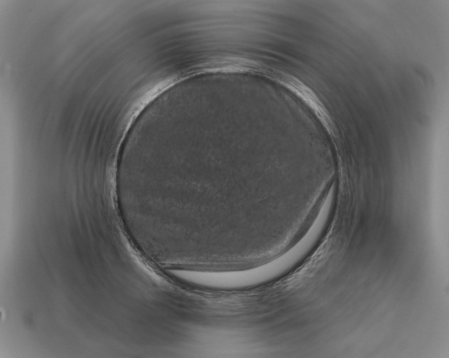 X0000115080850200911101501