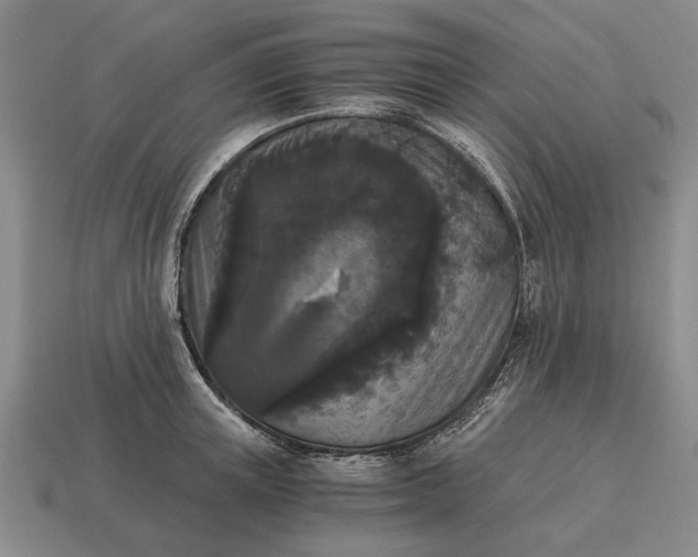 X0000115080851200911101501