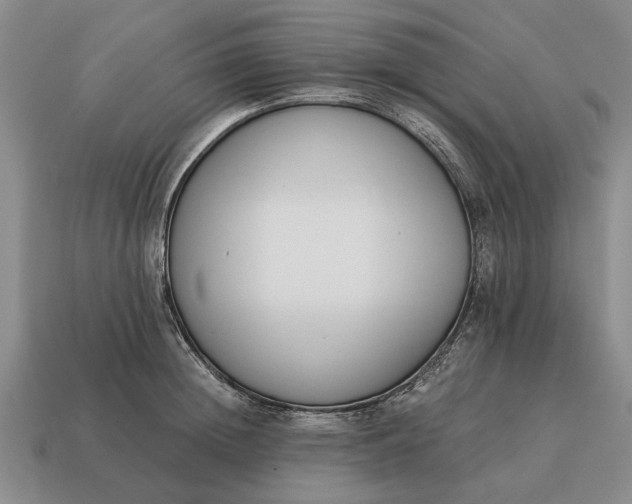 X0000115080852200911101501