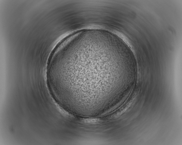 X0000115080853200911101501