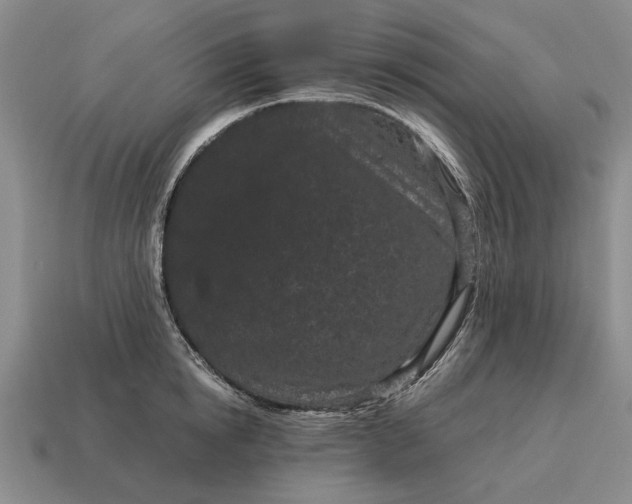 X0000115080854200911101501