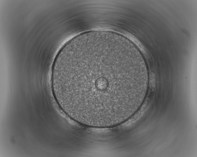 X0000115080856200911101501