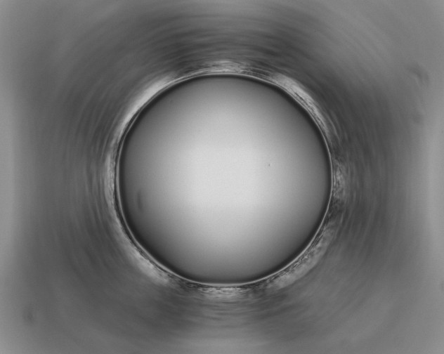 X0000115080859200911101501