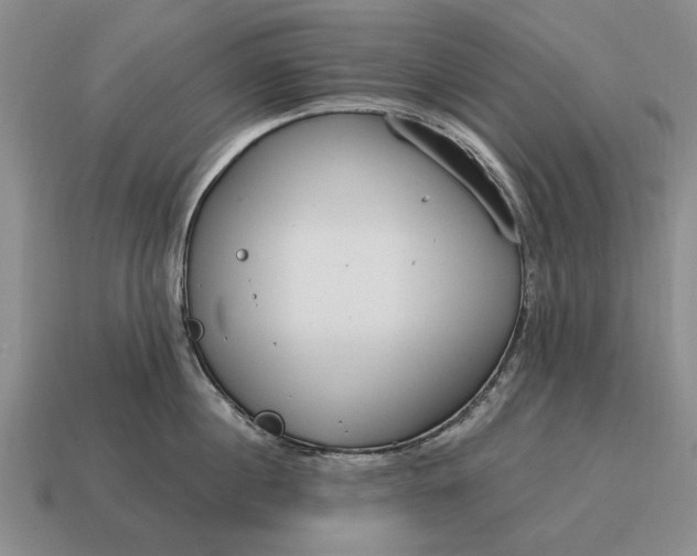 X0000115080860200911101501