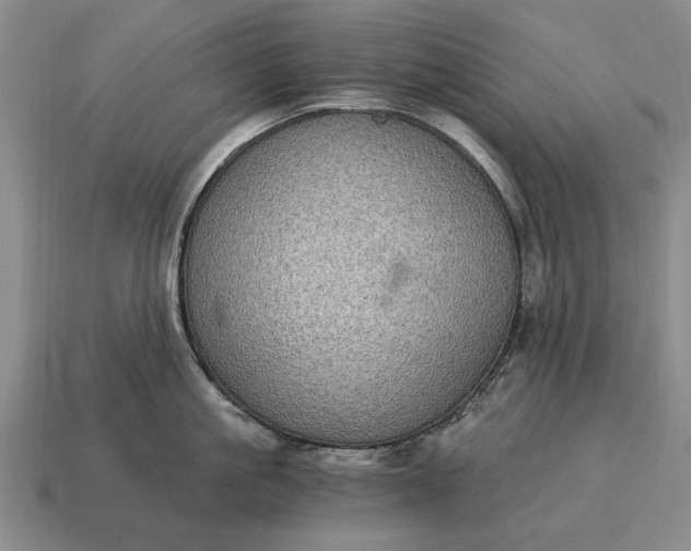 X0000115080861200911101501