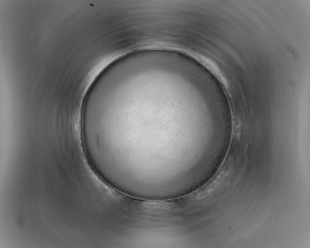 X0000115080863200911101501