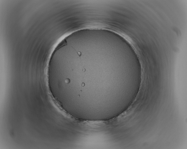 X0000115080864200911101501