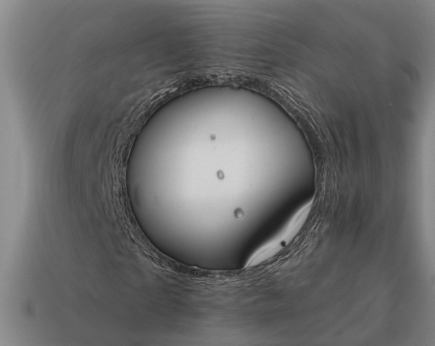 X0000115080865200911101501