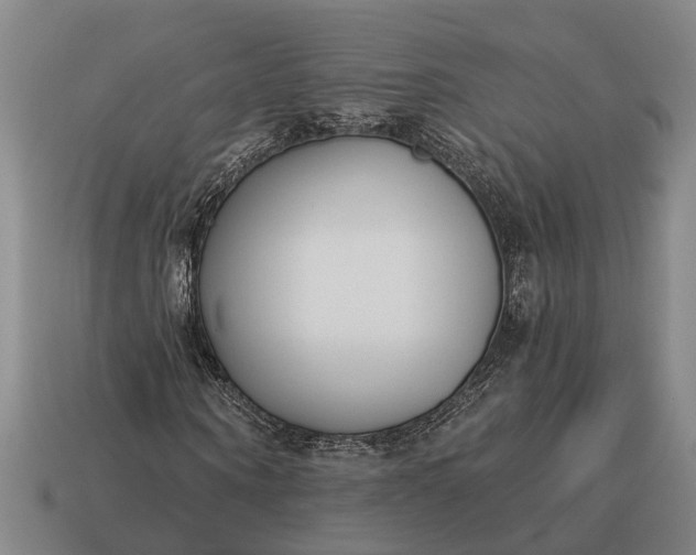 X0000115080866200911101501