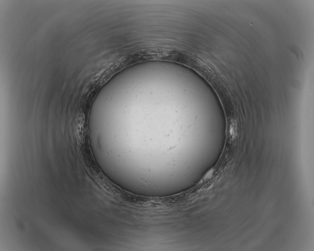 X0000115080867200911101501