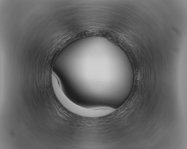 X0000115080868200911101501