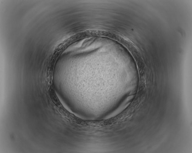 X0000115080870200911101501