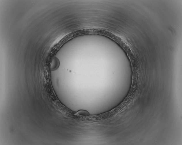 X0000115080871200911101501