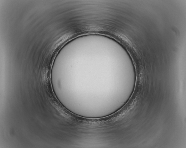 X0000115080873200911101501