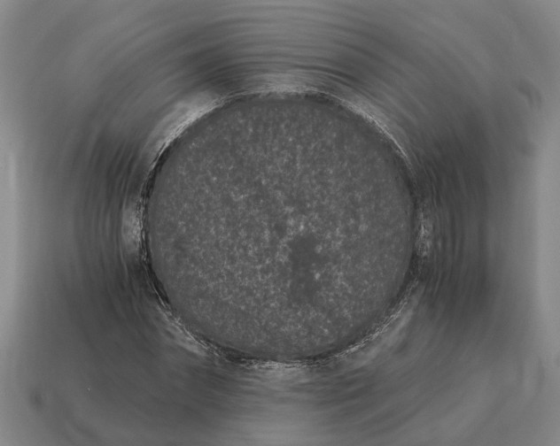 X0000115080874200911101501