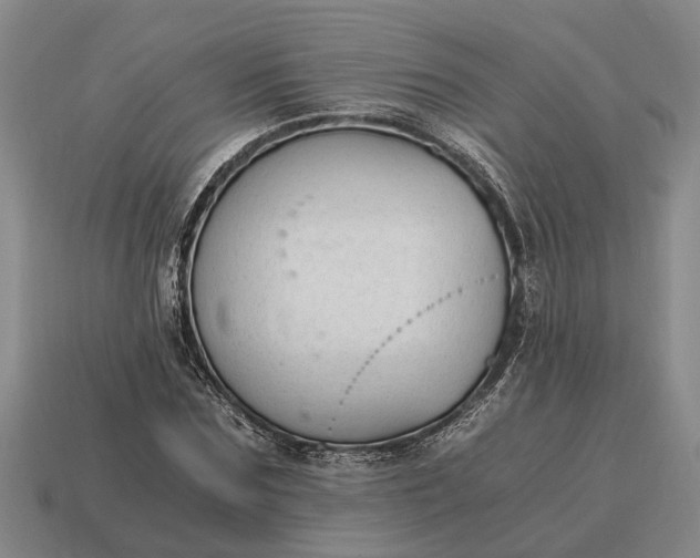 X0000115080875200911101501
