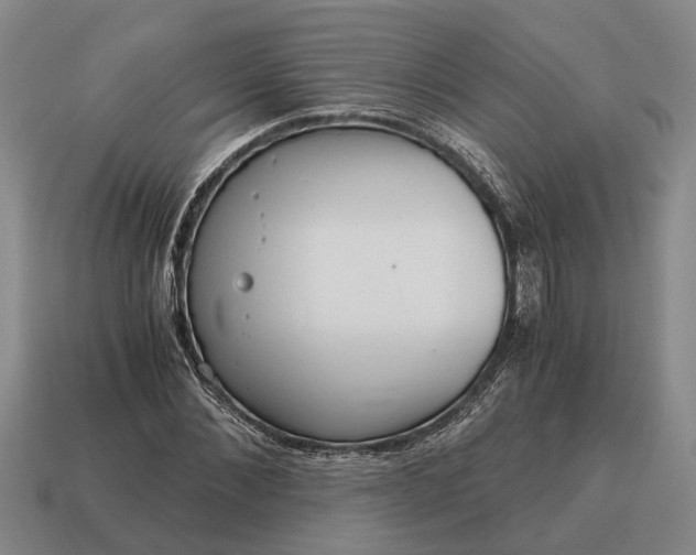 X0000115080876200911101501