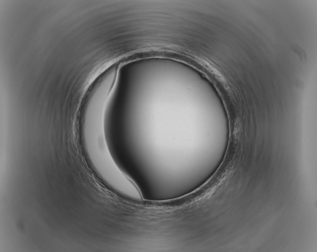 X0000115080877200911101501
