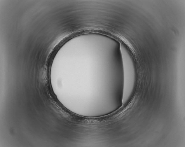 X0000115080878200911101501