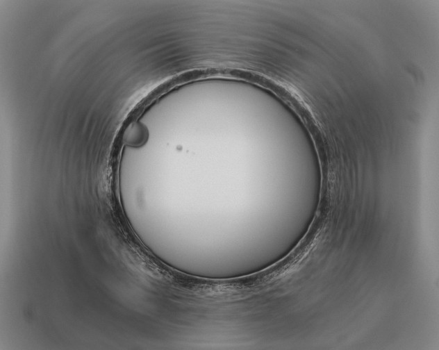 X0000115080879200911101501