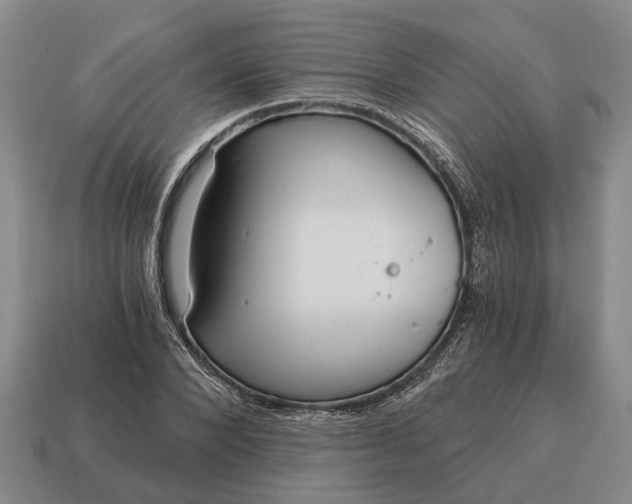 X0000115080880200911101501