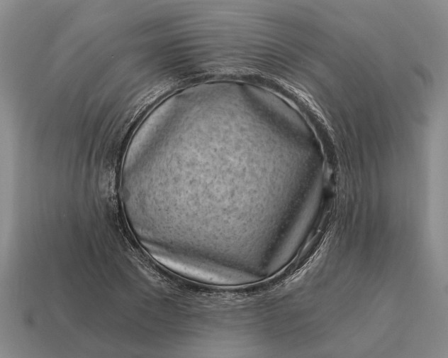 X0000115080881200911101501