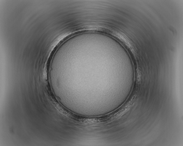 X0000115080883200911101500