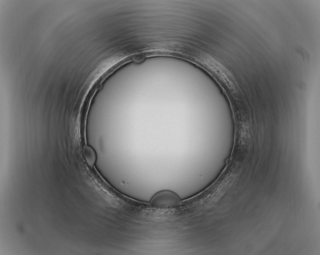 X0000115080884200911101500