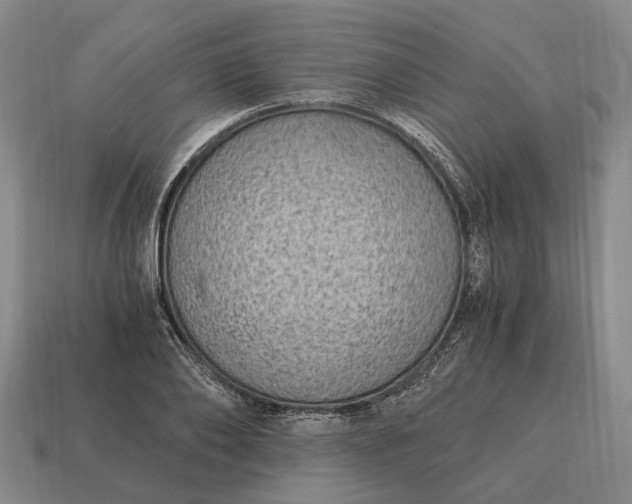 X0000115080886200911101500