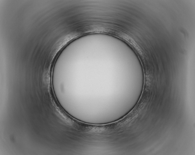 X0000115080890200911101500