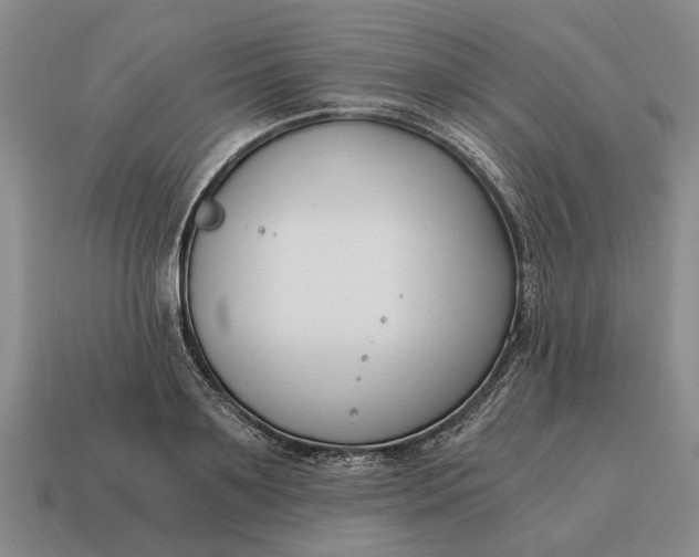 X0000115080891200911101500