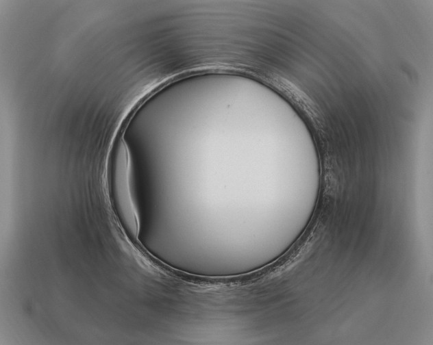 X0000115080892200911101500
