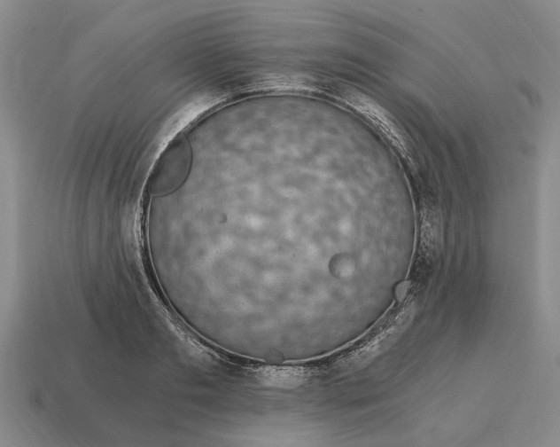X0000115080893200911101500