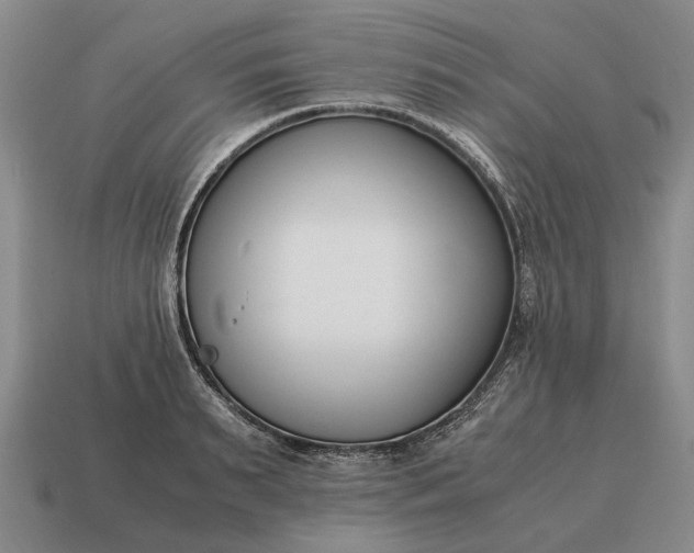 X0000115080895200911101500